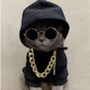 Meet your Posher, Mia